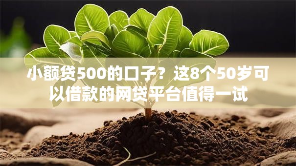 小额贷500的口子?这8个50岁可以借款的网贷平台值得一试 小额贷500的口子?这8个50岁可以借款的网贷平台值得一试