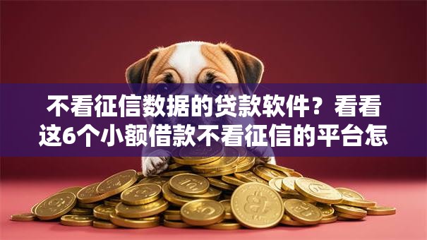 不看征信数据的贷款软件?看看这6个小额借款不看征信的平台怎么样 不看征信数据的贷款软件?看看这6个小额借款不看征信的平台怎么样