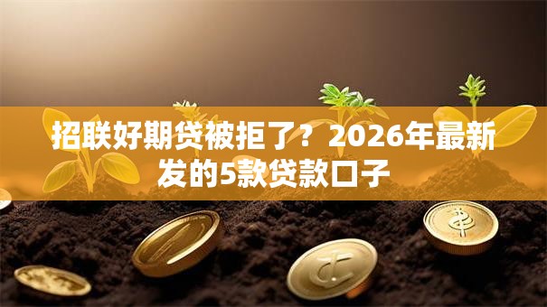 招联好期贷被拒了？2026年最新发的5款贷款口子