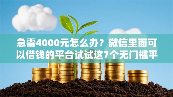 急需4000元怎么办？微信里面可以借钱的平台试试这7个无门槛平台