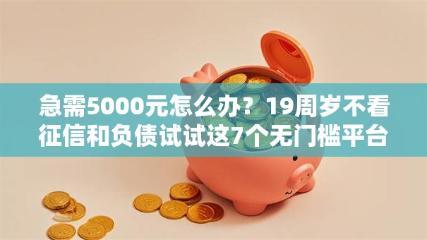 急需5000元怎么办？19周岁不看征信和负债试试这7个无门槛平台