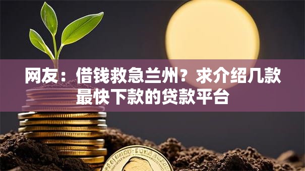 网友：借钱救急兰州？求介绍几款最快下款的贷款平台