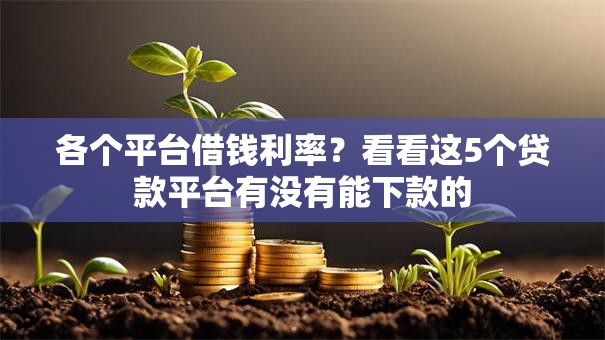 各个平台借钱利率?看看这5个贷款平台有没有能下款的 各个平台借钱利率?看看这5个贷款平台有没有能下款的