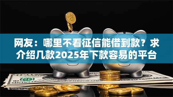 网友：哪里不看征信能借到款？求介绍几款2025年下款容易的平台