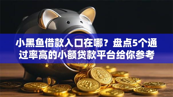 小黑鱼借款入口在哪？盘点5个通过率高的小额贷款平台给你参考