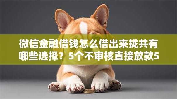 微信金融借钱怎么借出来拢共有哪些选择？5个不审核直接放款500的平台详解