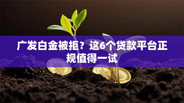 广发白金被拒？这6个贷款平台正规值得一试