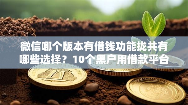 微信哪个版本有借钱功能拢共有哪些选择？10个黑户用借款平台可贷到款详解