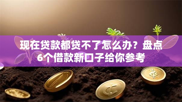 现在贷款都贷不了怎么办?盘点6个借款新口子给你参考 现在贷款都贷不了怎么办?盘点6个借款新口子给你参考