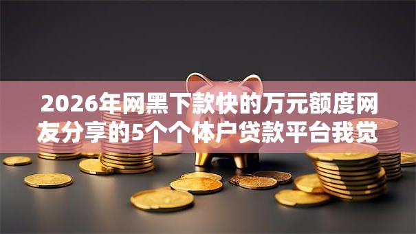 2026年网黑下款快的万元额度网友分享的5个个体户贷款平台我觉得不错! 2026年网黑下款快的万元额度网友分享的5个个体户贷款平台我觉得不错!