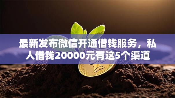 最新发布微信开通借钱服务，私人借钱20000元有这5个渠道