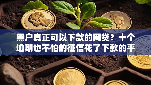 黑户真正可以下款的网贷?十个逾期也不怕的征信花了下款的平台 黑户真正可以下款的网贷?十个逾期也不怕的征信花了下款的平台