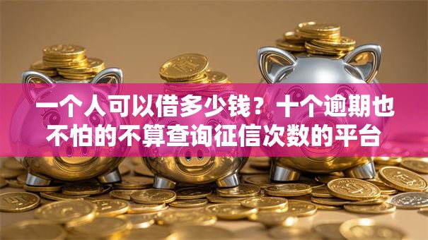 一个人可以借多少钱?十个逾期也不怕的不算查询征信次数的平台 一个人可以借多少钱?十个逾期也不怕的不算查询征信次数的平台