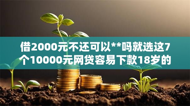 借2000元不还可以**吗就选这7个10000元网贷容易下款18岁的软件