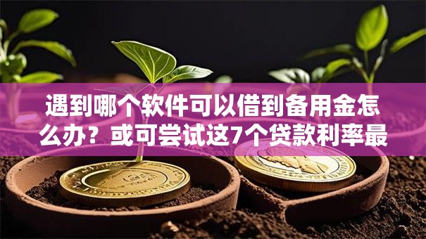 遇到哪个软件可以借到备用金怎么办?或可尝试这7个贷款利率最低的平台 遇到哪个软件可以借到备用金怎么办?或可尝试这7个贷款利率最低的平台