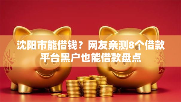 沈阳市能借钱？网友亲测8个借款平台黑户也能借款盘点