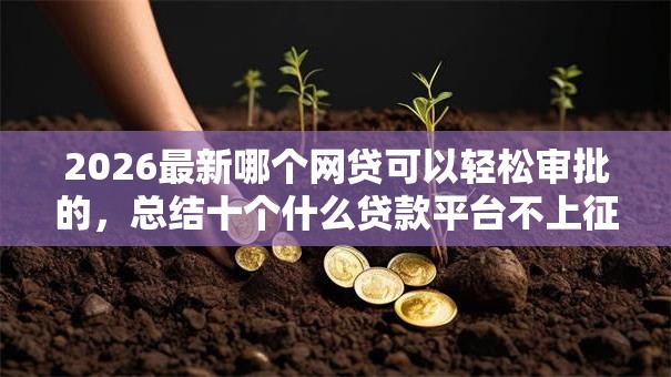 2026最新哪个网贷可以轻松审批的,总结十个什么贷款平台不上征信! 2026最新哪个网贷可以轻松审批的,总结十个什么贷款平台不上征信!