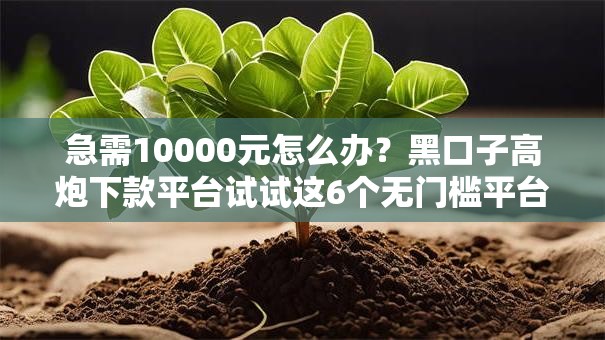 急需10000元怎么办?黑口子高炮下款平台试试这6个无门槛平台 急需10000元怎么办?黑口子高炮下款平台试试这6个无门槛平台