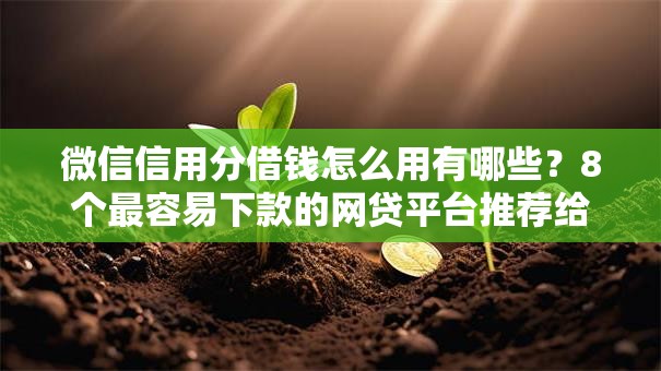 微信信用分借钱怎么用有哪些？8个最容易下款的网贷平台推荐给你