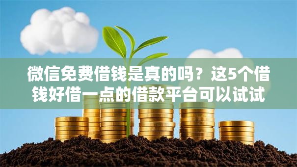 微信免费借钱是真的吗？这5个借钱好借一点的借款平台可以试试