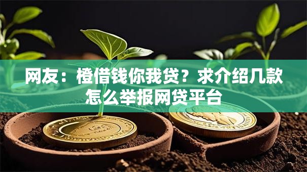 网友：橙借钱你我贷？求介绍几款怎么举报网贷平台