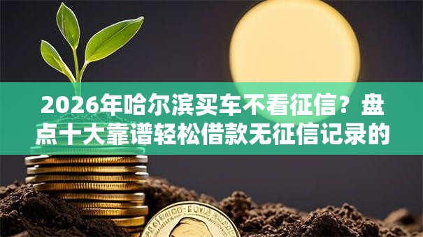 2026年哈尔滨买车不看征信?盘点十大靠谱轻松借款无征信记录的平台 2026年哈尔滨买车不看征信?盘点十大靠谱轻松借款无征信记录的平台