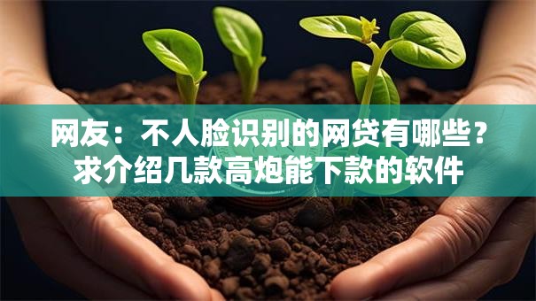 网友：不人脸识别的网贷有哪些？求介绍几款高炮能下款的软件