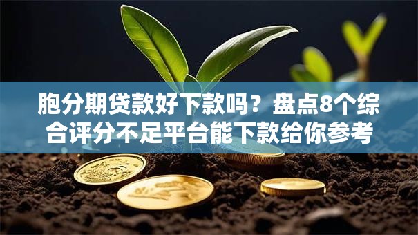 胞分期贷款好下款吗？盘点8个综合评分不足平台能下款给你参考