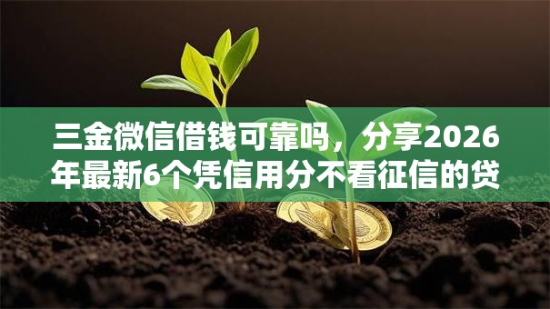 三金微信借钱可靠吗，分享2026年最新6个凭信用分不看征信的贷款平台