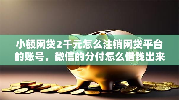 小额网贷2千元怎么注销网贷平台的账号，微信的分付怎么借钱出来的8个平台介绍