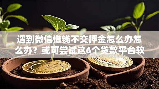遇到微信借钱不交押金怎么办怎么办？或可尝试这6个贷款平台软件