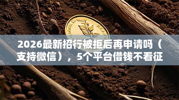 2026最新招行被拒后再申请吗（支持微信），5个平台借钱不看征信秒到账无私分享