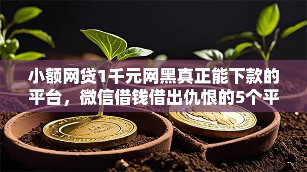小额网贷1千元网黑真正能下款的平台，微信借钱借出仇恨的5个平台介绍