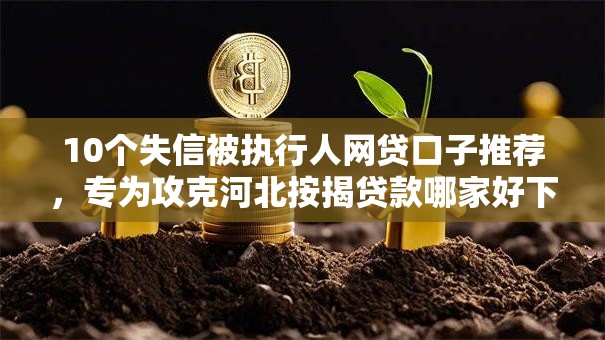 10个失信被执行人网贷口子推荐，专为攻克河北按揭贷款哪家好下款难题