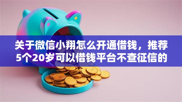 关于微信小翔怎么开通借钱，推荐5个20岁可以借钱平台不查征信的平台给你