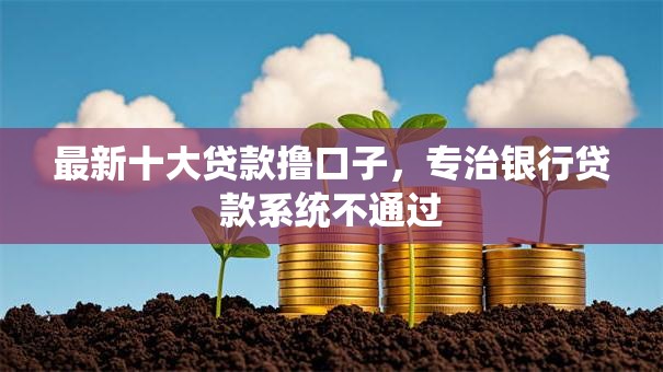 最新十大贷款撸口子，专治银行贷款系统不通过