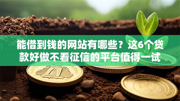 能借到钱的网站有哪些？这6个贷款好做不看征信的平台值得一试