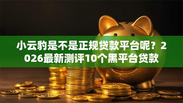 小云豹是不是正规贷款平台呢？2026最新测评10个黑平台贷款
