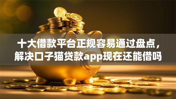十大借款平台正规容易通过盘点，解决口子猫贷款app现在还能借吗的问题
