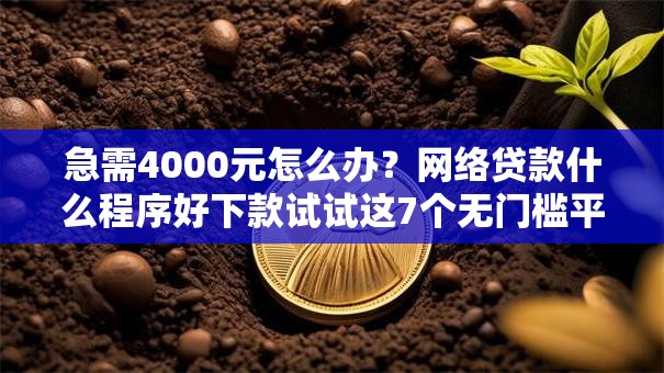急需4000元怎么办？网络贷款什么程序好下款试试这7个无门槛平台