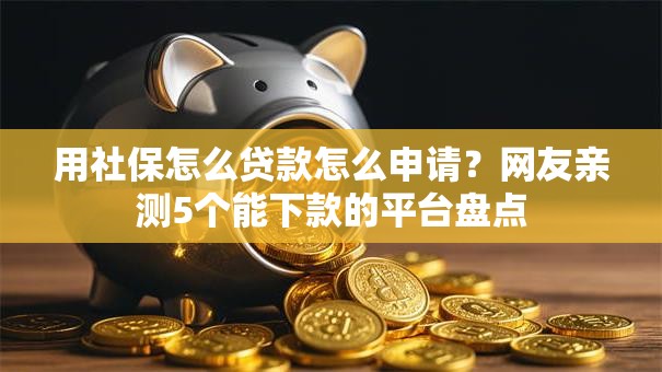用社保怎么贷款怎么申请？网友亲测5个能下款的平台盘点