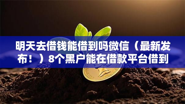 明天去借钱能借到吗微信（最新发布！）8个黑户能在借款平台借到钱