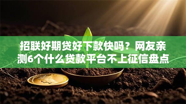 招联好期贷好下款快吗？网友亲测6个什么贷款平台不上征信盘点