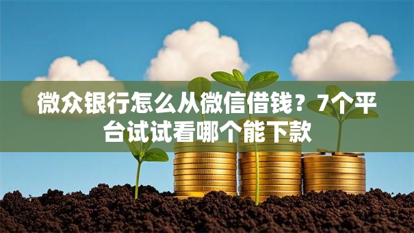 微众银行怎么从微信借钱？7个平台试试看哪个能下款