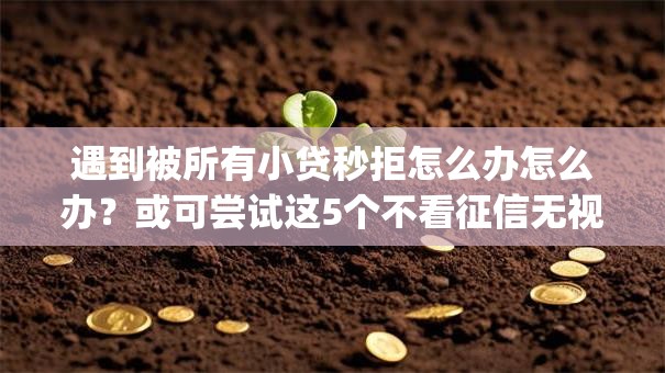 遇到被所有小贷秒拒怎么办怎么办？或可尝试这5个不看征信无视黑白百分百下款app