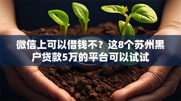 微信上可以借钱不？这8个苏州黑户贷款5万的平台可以试试
