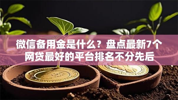 微信备用金是什么？盘点最新7个网贷最好的平台排名不分先后