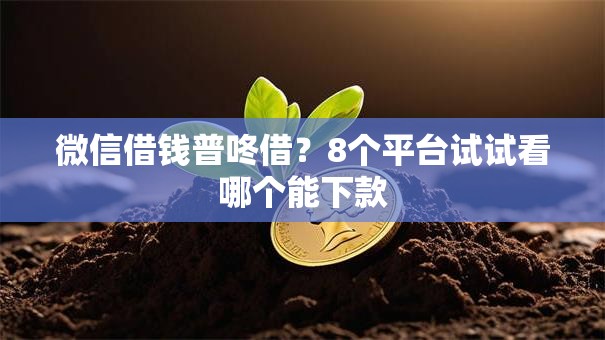 微信借钱普咚借？8个平台试试看哪个能下款