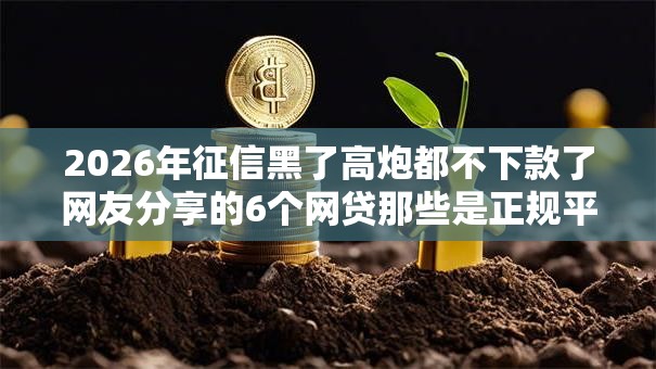 2026年征信黑了高炮都不下款了网友分享的6个网贷那些是正规平台我觉得不错！