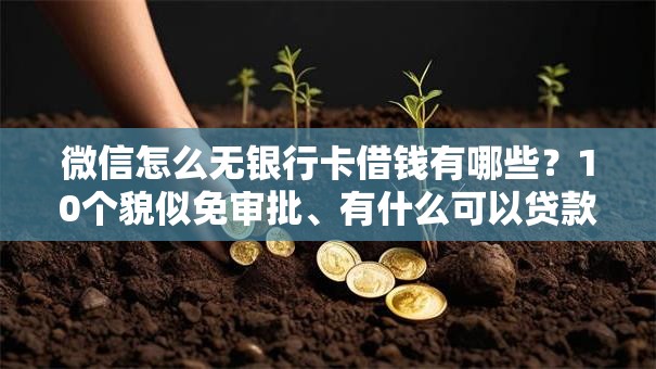 微信怎么无银行卡借钱有哪些？10个貌似免审批、有什么可以贷款的平台合集